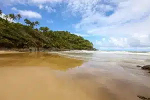 Passeio das 4 Praias com Cachoeira do Tijuípe