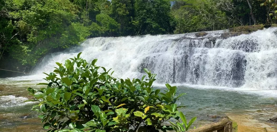 Cachoeira do Tijuípe