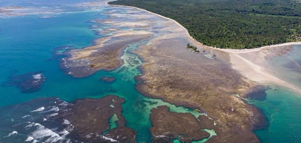 Ilha de Boipeba