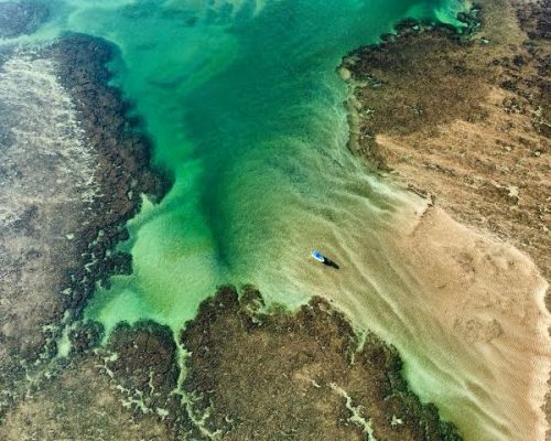 Boipeba ainda está sendo descoberta pelos turistas que visitam as praias da Bahia. E para ajudar na tarefa de desbravar praias como Tassimirim, Moreré, Bainema e Ponta dos Castelhanos, preparamos um post com várias dicas sobre o que fazer na Ilha de Boipeba. Por aqui você encontrará tudo sobre como chegar, as melhores praias, os principais passeios, dicas de pousadas e onde comer frutos do mar bem fresquinhos. Boipeba é destino para aproveitar sem pressa. Calce a sandália de dedo e a roupa de banho e prepare-se para deliciosos dias à beira-mar.