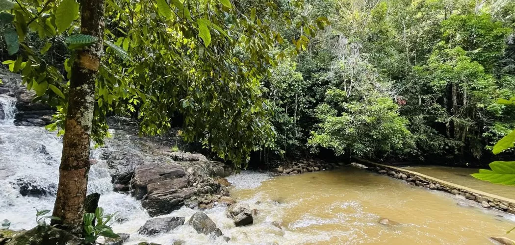 Cachoeira do Cleandro com a Itacaré Turismo